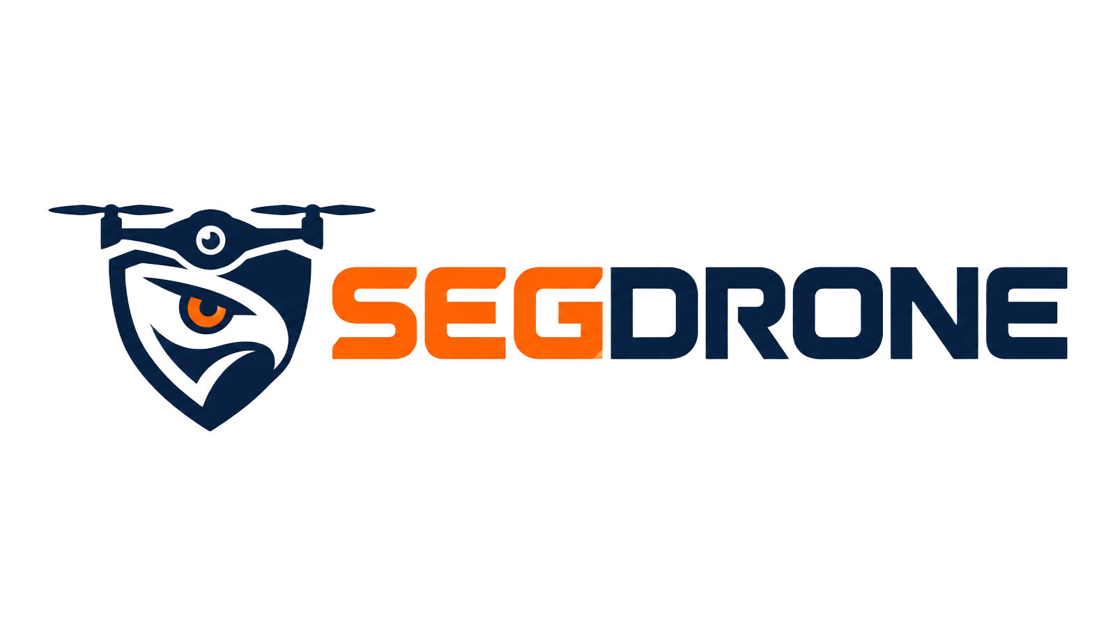 SegDrone